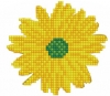 T19