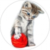 Котенок с красным клубком